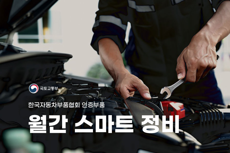 Main Banner